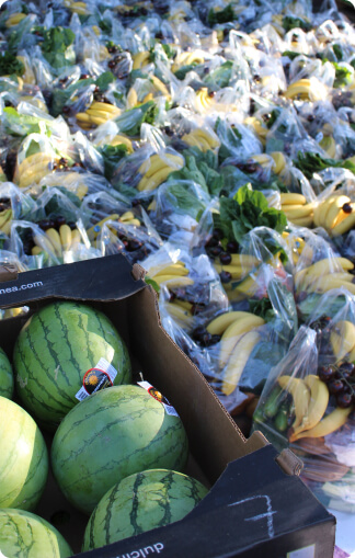 Watermelons and bananas shown.